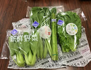 葉物野菜 
